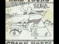 pochette album Stupid girl