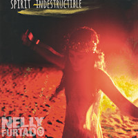 pochette album Spirit indestructible