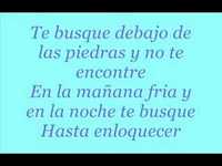 pochette album Te busque (spanish version)