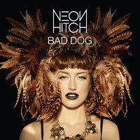 pochette album Bad dog