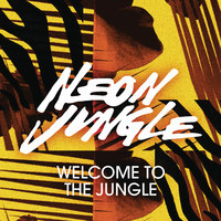 pochette album Welcome to the jungle