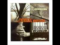 pochette album The dealer