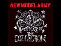 pochette album Vanity