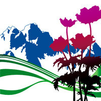 pochette album Thieves like us