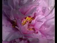 pochette album Falling through your clothes