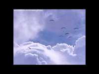 pochette album You're my first love (head over heels)