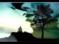 pochette album Entre ella y tu