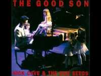 pochette album The good son
