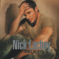 pochette album What's left of me