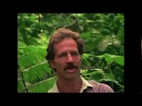 pochette album Hot potato style