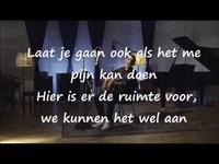 pochette album Laat je gaan