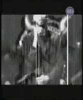 pochette album I ve never dreamt the life we share