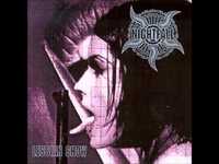 pochette album The secret admirer