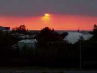 pochette album Any lucky penny