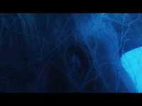 pochette album Shellshocked