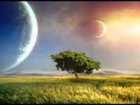 pochette album I sing just to know that i'm alive