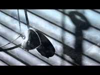 pochette album The price