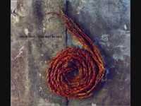 pochette album The beauty of being numb