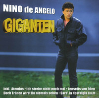 pochette album Vielleicht (seit jimmy zu den sternen ging)