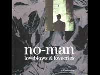 pochette album Tulip