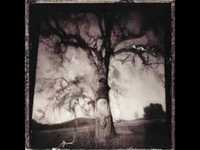 pochette album Where did you go