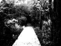 pochette album Herbst