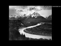 pochette album Dandelion hills