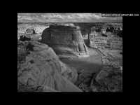 pochette album Dear carolyne