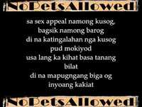 pochette album Bisan