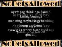 pochette album Makapakalma