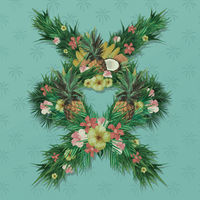 pochette album Collide