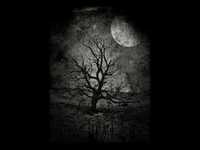 pochette album Searching the betrayal