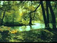 pochette album Serenity forgotten