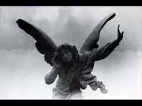 pochette album The lifeless silhouette