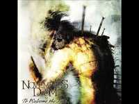 pochette album The spirit seed