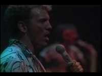 pochette album The lion sleeps tonight