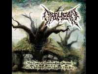 pochette album The eyes of tremendous sorrow