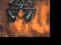 pochette album Glass made of flesh