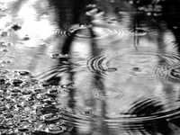 pochette album Wrong decision