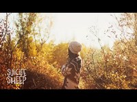 pochette album Landslide