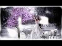 pochette album Silver nights of december