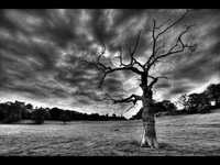 pochette album By the way