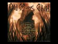 pochette album St. aidens fall