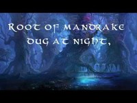 pochette album Wytches' brew