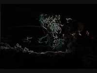 pochette album A sparrow dances