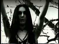 pochette album Fronds of the ancient walnut