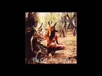 pochette album The call of the wood