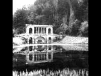 pochette album Nectar