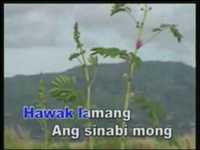 pochette album I believe