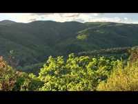 pochette album The candle light